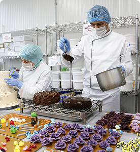 Production Facility